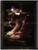 Midori Hayashi Night Comers SIGNED - inside page