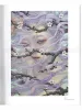 Miho Hirano The Beauties of Nature SIGNED - inside page