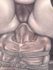 Namio Harukawa Original Drawing 2 - close up detail