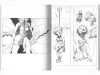 Ran Akiyoshi A Dreamland of Pleasure - inside pages