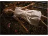 Rico Hoshino Dolls & Objects SIGNED - inside page