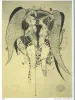 Shin Taga World of Edogawa Ranpo - inside page