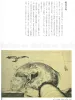 Shin Taga World of Edogawa Ranpo - inside page