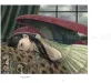 Shiori Matsumoto Mystery Garden - inside pages