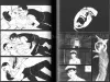 Suehiro Maruo DDT inside pages