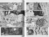 Suehiro Maruo The Inferno In Bottles - inside pages