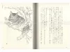 Takato Yamamoto Alice in Wonderland SIGNED - inside pages