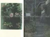 Takato Yamamoto Phantom Vision of Peephole inside pages