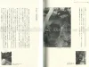 Takato Yamamoto Phantom Vision of Peephole inside pages