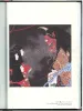 Tale of a Castle Keep Takato Yamamoto finished painting - inside page