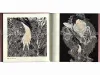 Takato Yamamoto Vampire's Box SIGNED - inside pages