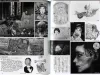 Talking Heads No. 59 Magazine Strange Pet - inside pages
