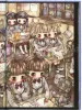 Tama Fallen Princess - Memorable School Life