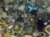 Tama Milky Way poster detail