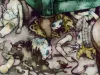 Tama Missa Pro Defunctis poster detail