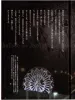 Tama and Noboru Moai Nighttime Dream Flight Dark Fairy Tale SIGNED - inside page