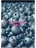 Trevor Brown Girls War clear file 2 back - Genocide