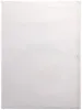 Trevor Brown Original Bound Hands - reverse side