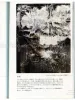 Yaso How to Read Kafka - Naoaki Yamamoto