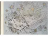 Yuka Sakuma Shallows - inside page