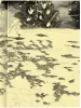 Yume ni Samayou Mika Nitta - inside page